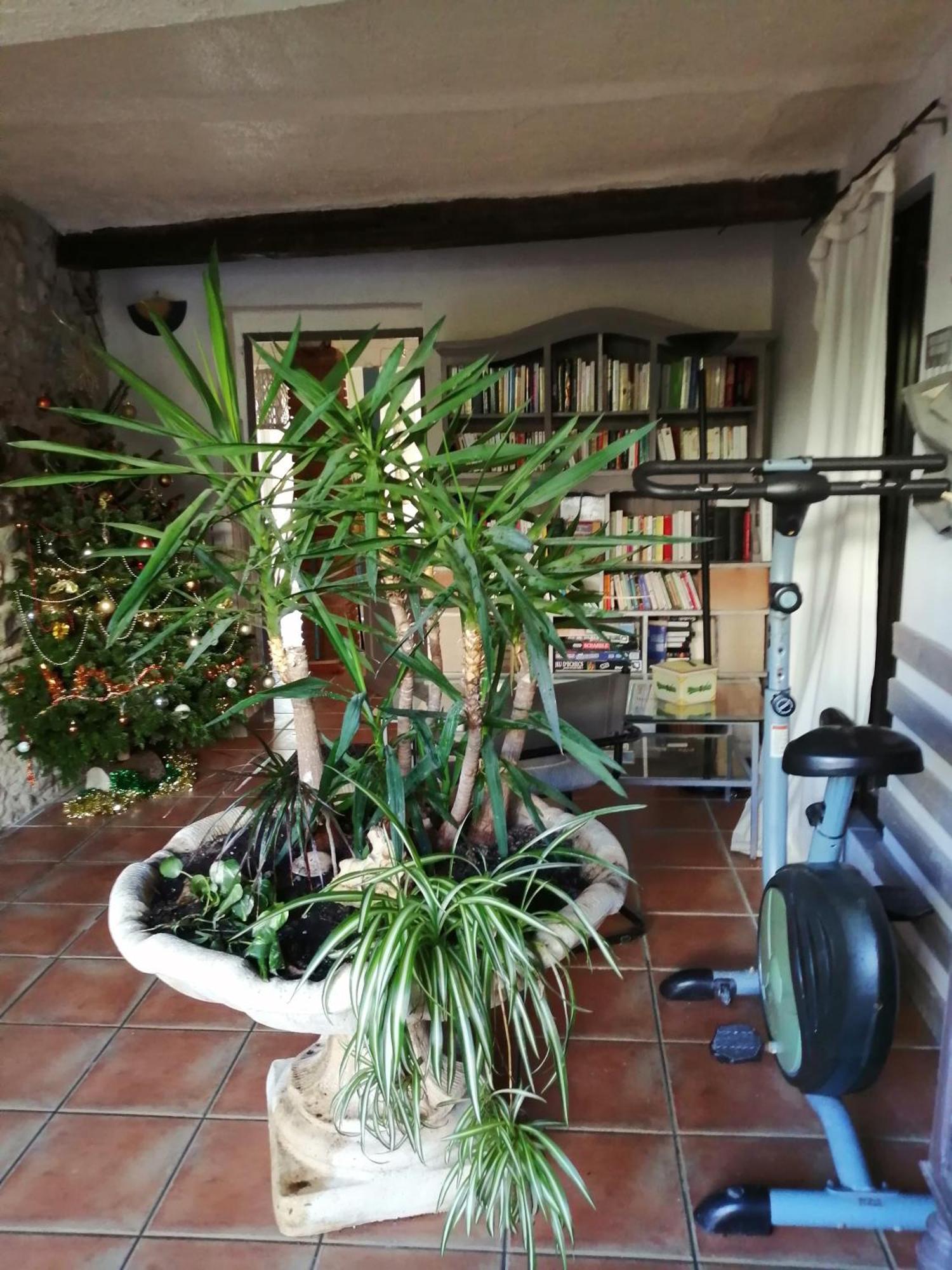 Belle Maison De Caractere Dans Village Et Sa Piscine Privee 7 Pers- 3 Chambres - 12 Rue Emile Zola Millas ภายนอก รูปภาพ